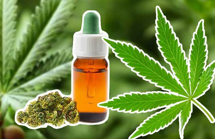 How Long are CBD Oil Tinctures Good For?