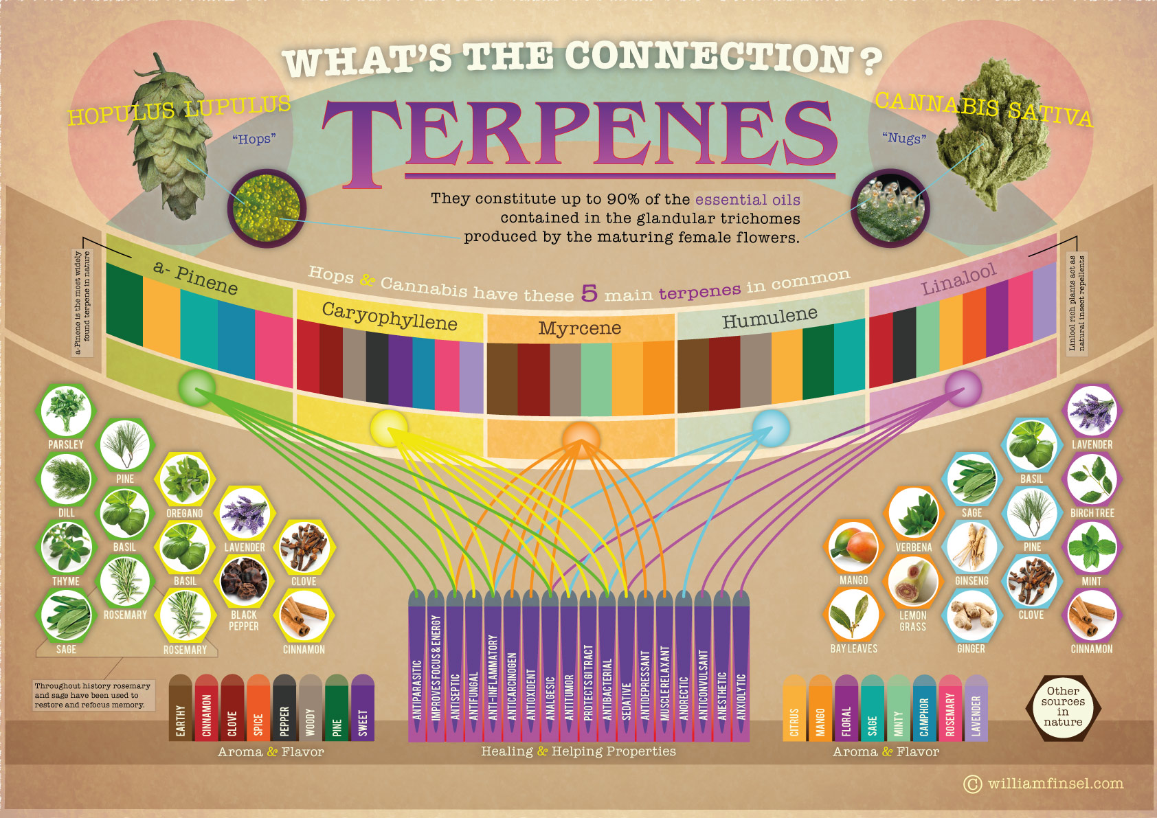 THE HISTORY OF TERPENES